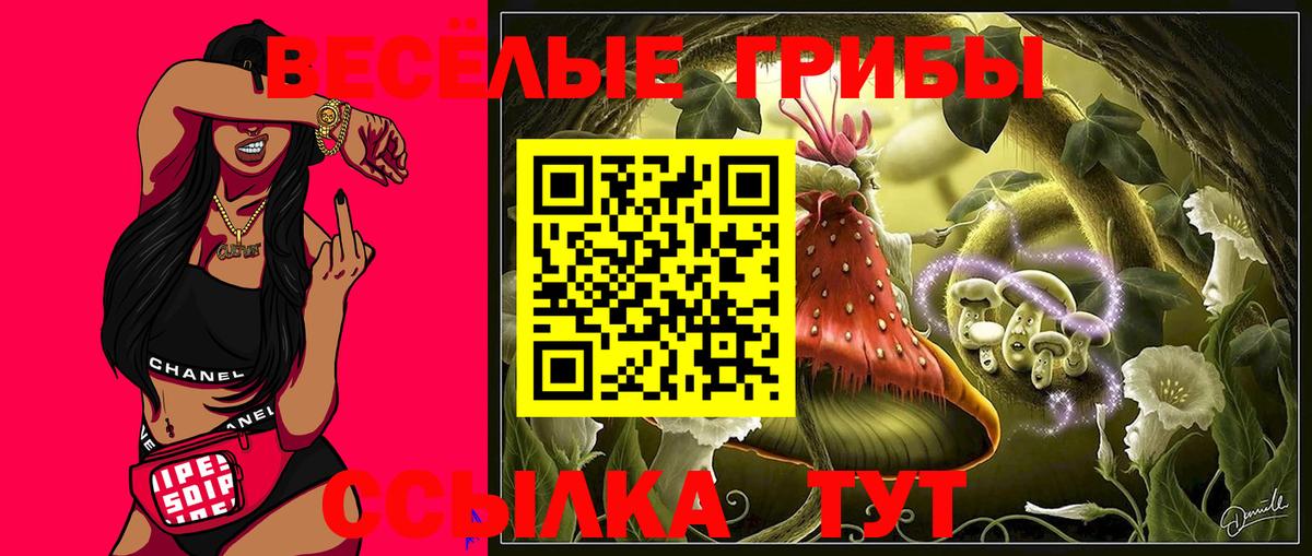 Псилоцибиновые грибы Magic Shrooms  наркота  Вход с VPN  Сокол  Галлюциногенные грибы Cubensis 